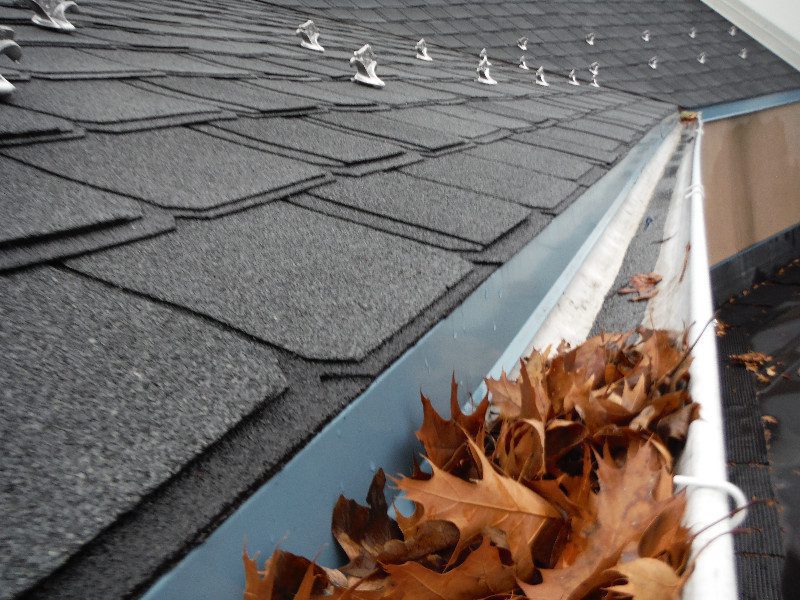 Clogged Gutters